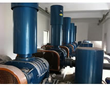 羅茨鼓風(fēng)(fēng)機(jī)(jī)_安琪酵母風(fēng)(fēng)機(jī)(jī)現(xiàn)(xiàn)場(chǎng)案例 羅茨鼓風(fēng)(fēng)機(jī)(jī)_安琪酵母風(fēng)(fēng)機(jī)(jī)現(xiàn)(xiàn)場(chǎng)案例